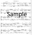 Telemann Fantasias and Phantoms (score form)