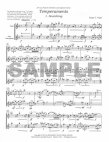 Temperaments for Flute and Alto Saxophone