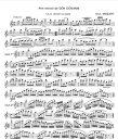 Ten Arias - Variations on Opera Themes