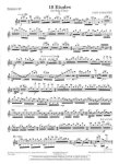 Ten Etudes for Solo Flute