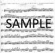 Ten Studies after Wieniawsky (10 Etudes d'apres Wieniawsky)
