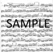 Ten Studies after Wieniawsky (10 Etudes d'apres Wieniawsky)