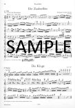 Test Pieces for Orchestral Auditions