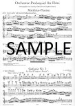 Test Pieces for Orchestral Auditions