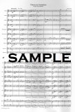 Theme and Variations