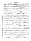 Theme and Variations Op80