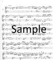 Thirteen Duets (score form)