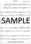 Thirty Melodious Duets for Flute and Clarinet
