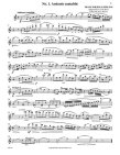 Thirty-two Rose Etudes for Flute(ed.Porter)(fl,audio access)
