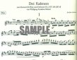 Three Cadenzas to Mozart Concerto 2 in D (K314/285d)