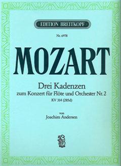 Three Cadenzas to Mozart Concerto 2 in D (K314/285d)