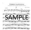 Three Cadenzas to Mozart Concerto 2 in D (K314/285d)