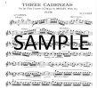 Three Cadenzas to Mozart Concerto 2 in D (K314/285d)