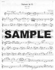 Three Hundred Years of Music (v.5) - Vienna Classics