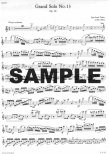 Three Hundred Years of Music (v.7) - Romantic Virtuosos (bk2)