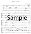 Three Trios Op14