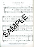Traditional Christmas Duets for Flute (Flute Duet Book)