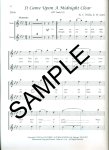 Traditional Christmas Duets for Flute (Flute Duet Book)
