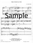 Trio for Flutes