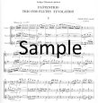 Trio for Flutes