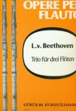 Trio for Three Flutes