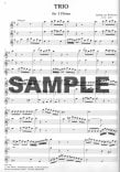 Trio for Three Flutes