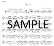 Trio Intermezzo Concertante Op7