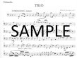 Trio Intermezzo Concertante Op7
