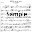 Trio Op10 #1 (parts only)