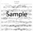 Trio Op118 (Parts Only)