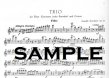 Trio Op16