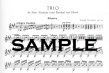 Trio Op16