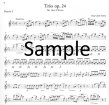 Trio Op24 (Parts Only)