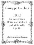 Trio Op3 #6