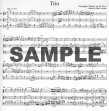Trio Op45 no6