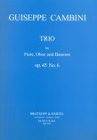 Trio Op45 no6