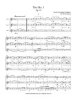 Trio Op51#1