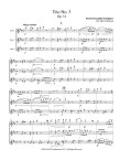 Trio Op51#3