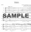 Trio Op87