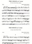 Trio Sonata in c