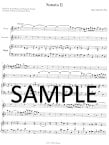 Trio Sonata in d