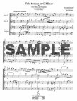 Trio Sonata in g