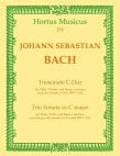 Trio Sonate in C (BWV1032)