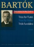 Trios for Flutes-Transcriptions for Music Students