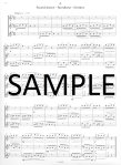 Trios for Flutes-Transcriptions for Music Students