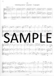 Trios for Flutes-Transcriptions for Music Students