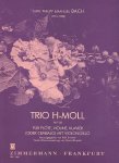 Triosonata in b Wq143