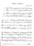 Triosonata in b Wq143