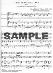 Triosonate in G