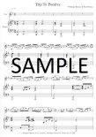 Trip to Pontivy-Contemporary Irish Music for Silver Flute